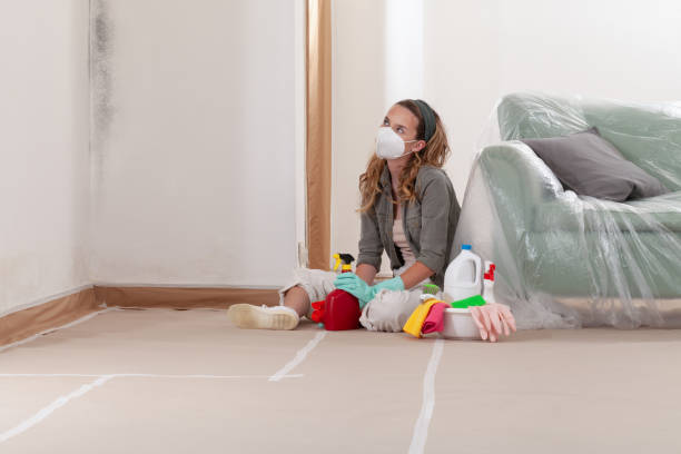 Reliable Mold Cleanup contractor in Whitakers, NC by Cheap Mold Removal